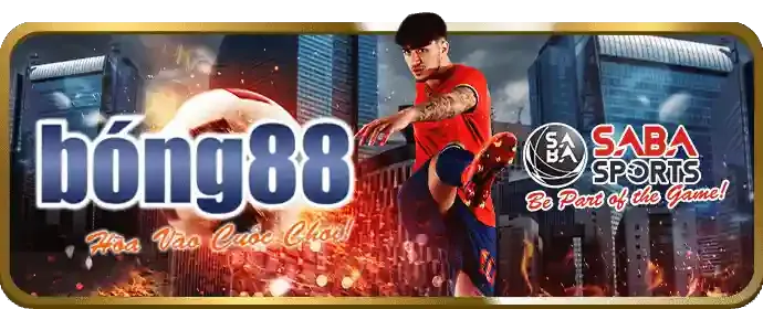 Cá cược bóng rổ NBA tại OKVIP đăng ký